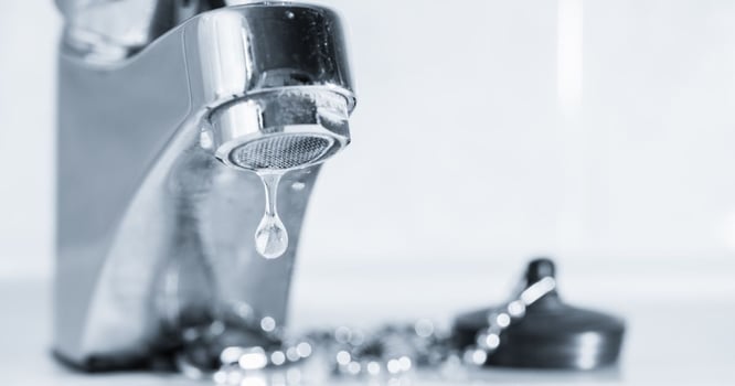 Levering the Power of ProfitOptics