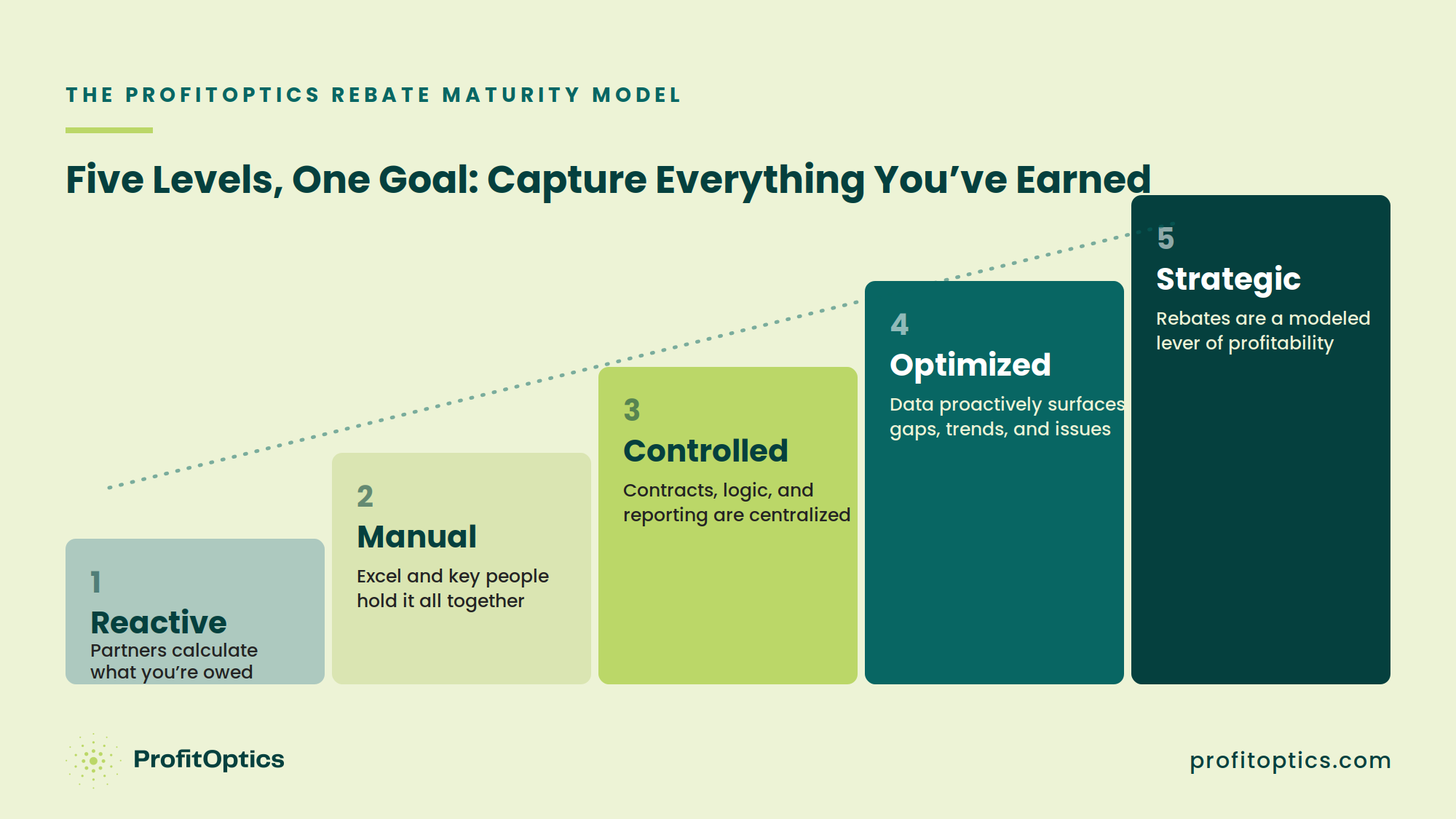 Rebate_Report_05_maturity_model