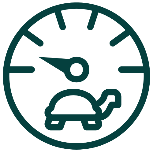 core-technologies_ Slow Execution